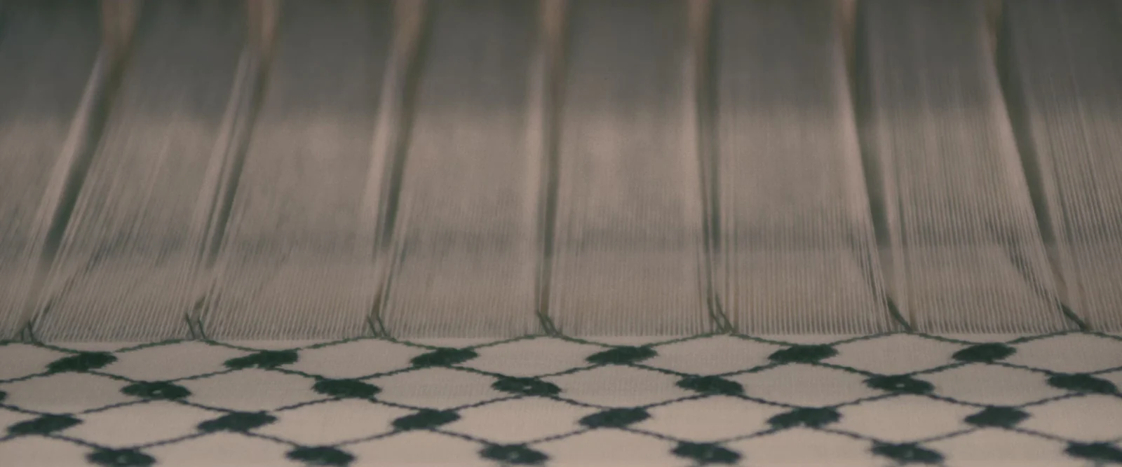 Authentic Heritage, Woven in Palestine